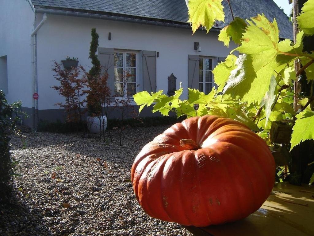 Gite Cottage D'Hamicourt Aux Portes De La Baie De Somme エクステリア 写真