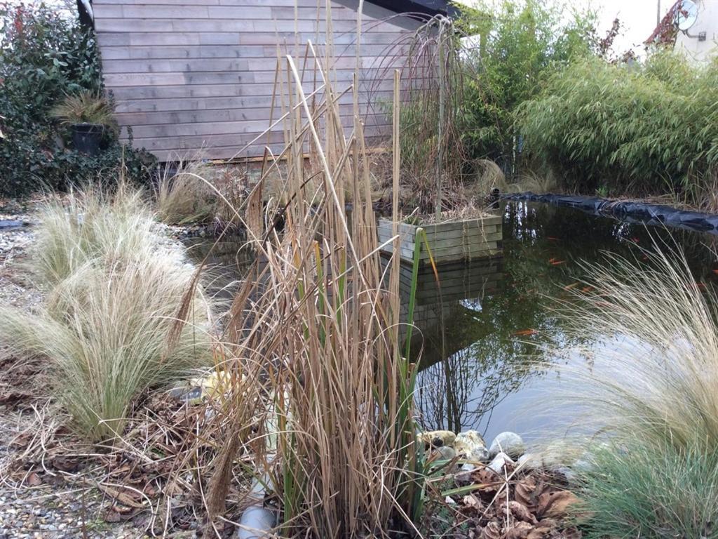 Gite Cottage D'Hamicourt Aux Portes De La Baie De Somme 部屋 写真